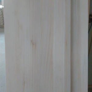 Панель Павлоуня